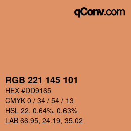 Color code: RGB 221 145 101 | qconv.com