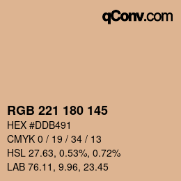 Color code: RGB 221 180 145 | qconv.com