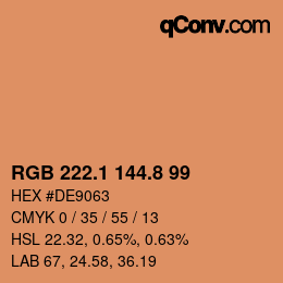 Color code: RGB 222.1 144.8 99 | qconv.com