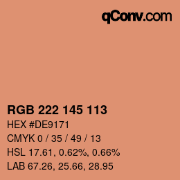 Color code: RGB 222 145 113 | qconv.com