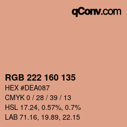 Color code: RGB 222 160 135 | qconv.com