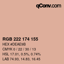 Color code: RGB 222 174 155 | qconv.com