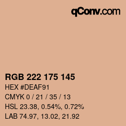 Color code: RGB 222 175 145 | qconv.com