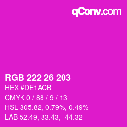 Color code: RGB 222 26 203 | qconv.com