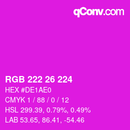 Color code: RGB 222 26 224 | qconv.com