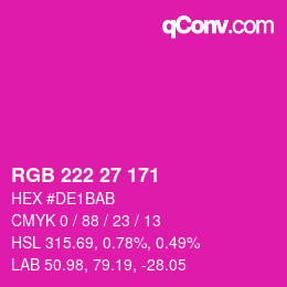 カラーコード: RGB 222 27 171 | qconv.com