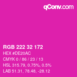Color code: RGB 222 32 172 | qconv.com