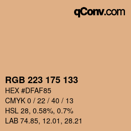 Color code: RGB 223 175 133 | qconv.com