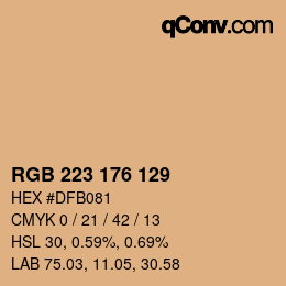 Color code: RGB 223 176 129 | qconv.com