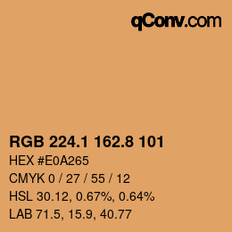 Color code: RGB 224.1 162.8 101 | qconv.com