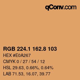 Color code: RGB 224.1 162.8 103 | qconv.com