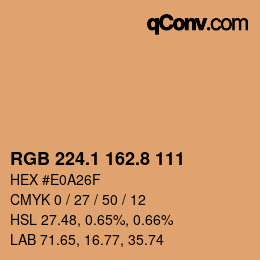 Color code: RGB 224.1 162.8 111 | qconv.com