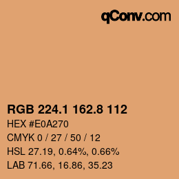 Color code: RGB 224.1 162.8 112 | qconv.com