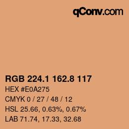 Color code: RGB 224.1 162.8 117 | qconv.com