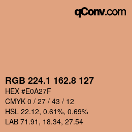 Color code: RGB 224.1 162.8 127 | qconv.com