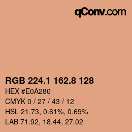 Color code: RGB 224.1 162.8 128 | qconv.com