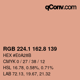 Color code: RGB 224.1 162.8 139 | qconv.com