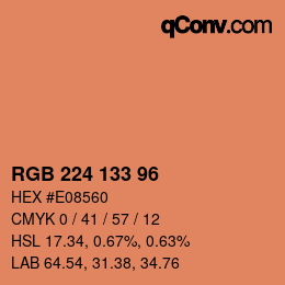 Color code: RGB 224 133 96 | qconv.com