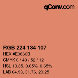 Color code: RGB 224 134 107 | qconv.com