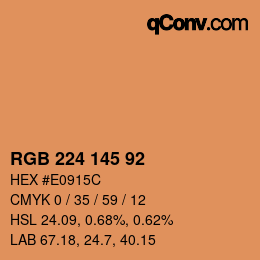 カラーコード: RGB 224 145 92 | qconv.com