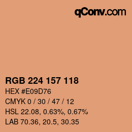 颜色代码: RGB 224 157 118 | qconv.com