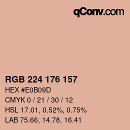 Color code: RGB 224 176 157 | qconv.com