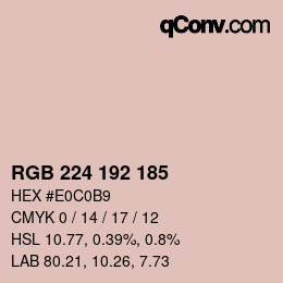 Color code: RGB 224 192 185 | qconv.com