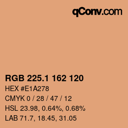カラーコード: RGB 225.1 162 120 | qconv.com