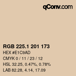 Color code: RGB 225.1 201 173 | qconv.com