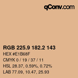 カラーコード: RGB 225.9 182.2 143 | qconv.com