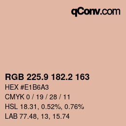 カラーコード: RGB 225.9 182.2 163 | qconv.com