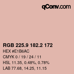 Color code: RGB 225.9 182.2 172 | qconv.com