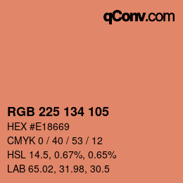 Color code: RGB 225 134 105 | qconv.com