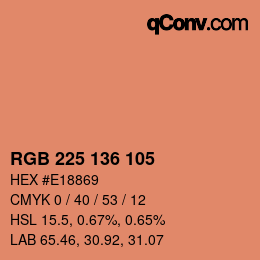 Color code: RGB 225 136 105 | qconv.com