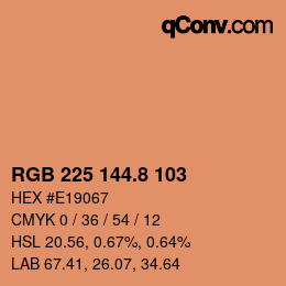 カラーコード: RGB 225 144.8 103 | qconv.com