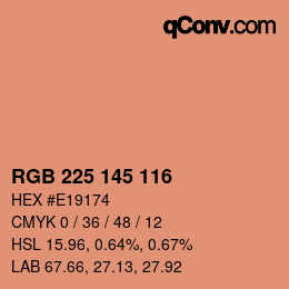 Color code: RGB 225 145 116 | qconv.com