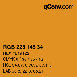 Color code: RGB 225 145 34 | qconv.com