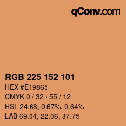 Color code: RGB 225 152 101 | qconv.com