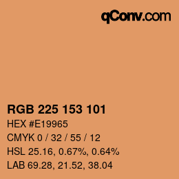 Color code: RGB 225 153 101 | qconv.com