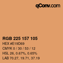 Color code: RGB 225 157 105 | qconv.com