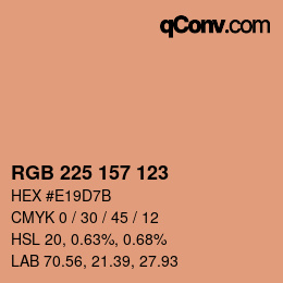 Color code: RGB 225 157 123 | qconv.com