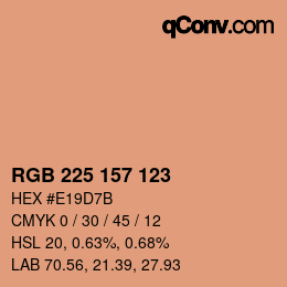 カラーコード: RGB 225 157 123 | qconv.com