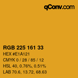 Color code: RGB 225 161 33 | qconv.com
