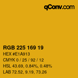 Color code: RGB 225 169 19 | qconv.com