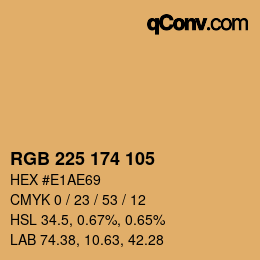 Color code: RGB 225 174 105 | qconv.com