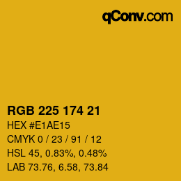Color code: RGB 225 174 21 | qconv.com