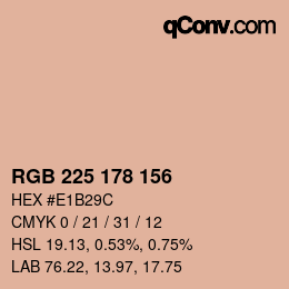 カラーコード: RGB 225 178 156 | qconv.com