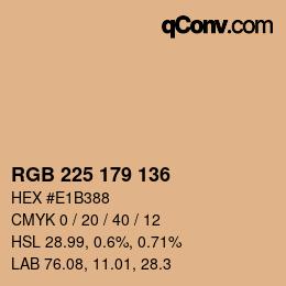 カラーコード: RGB 225 179 136 | qconv.com