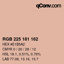 Color code: RGB 225 181 162 | qconv.com