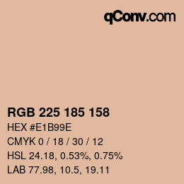Color code: RGB 225 185 158 | qconv.com